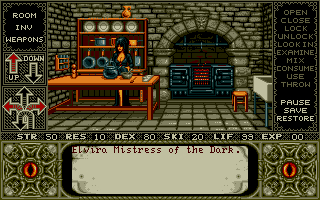 Elvira 1 - Mistress of Dark screenshot