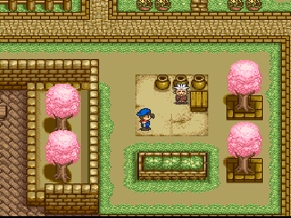 Harvest Moon screenshot