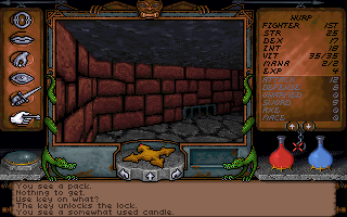 Ultima Underworld 1 - The Stygian Abyss screenshot